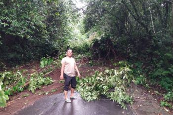 Jalan menuju Sembalun Lombok Timur tertutup longsor