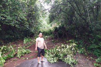 Hujan deras, Jalan Suele-Sembalun Lombok Timur tertutup tanah longsor