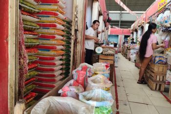 Harga beras medium di Lampung mulai turun