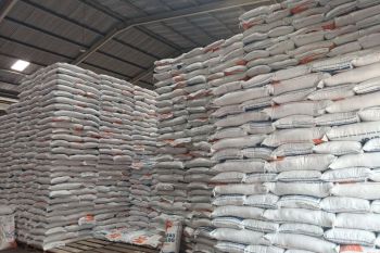 Perum Bulog Papua sebut stok beras sebanyak 18 ribu ton