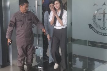 Sandra Dewi minta wartawan tak buat berita hoaks
