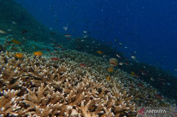 Jaga kelestarian, Kuota wisata di kawasan konservasi nasional kini diatur