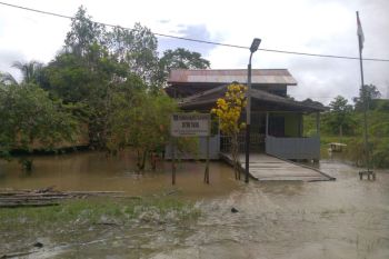 Banjir rendam 150 rumah warga di Teluk Bintuni, Papua Barat