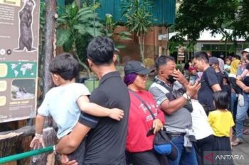 Dishub Surabaya antisipasi "jukir liar" di KBS saat libur Lebaran