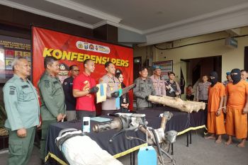 Polres Tulungagung tangkap pembalak kayu hutan kelolaan Perhutani