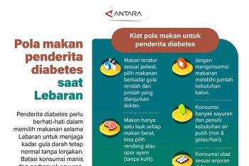 Pola makan bagi penderita diabetes saat lebaran