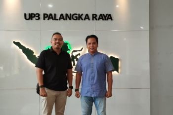 PLN Palangka Raya siagakan 227 personel untuk keandalan listik Lebaran