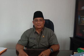 BPBD Agam: 13 kecamatan rawan bencana alam