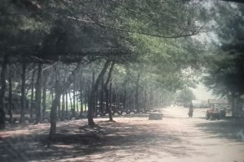 Pemkab Pasaman Barat sebut Pantai Sasak siap sambut pengunjung Lebaran