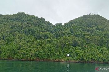 Tim Ahli Cagar Budaya Jayapura melakukan delineasi Gunung Srobu
