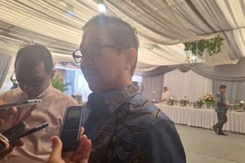 Penambahan saham Indonesia di Freeport membutuhkan waktu