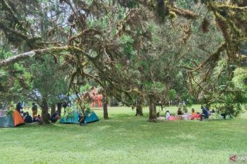 Kebun Raya Bali hadirkan bazar kuliner semarakkan libur Lebaran 