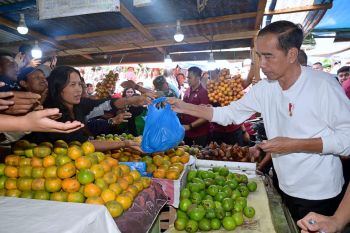 Presiden Jokowi belanja buah dan sayur di Pasar Buah Berastagi Sumut