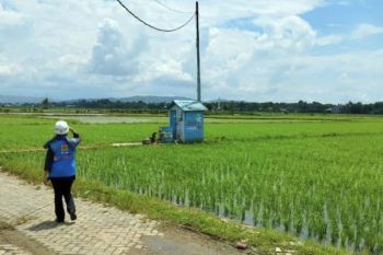 Kementan: Listrik masuk sawah untuk optimalkan pompanisasi