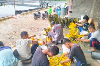 Budi daya udang jadi penopang ekonomi warga