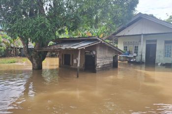 Puluhan rumah & fasilitas umum terendam banjir di Kapuas Hulu Kalbar
