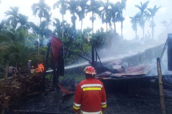 Pabrik pengolahan rotan di Simeulue terbakar