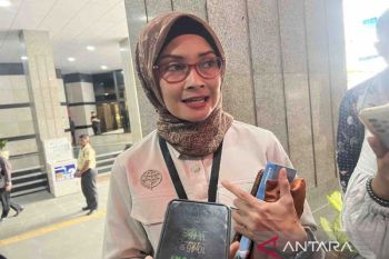 Kemenhub tak temukan tiket pesawat di atas TBA saat angkutan Lebaran