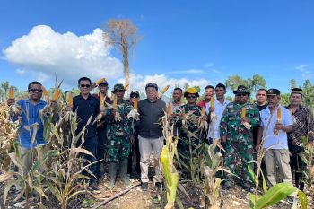 Pemprov Sulteng libatkan TNI bantu tingkatkan produktivitas KPN