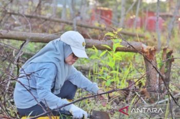 Perempuan Kalsel tanam pohon saat Hari Kartini