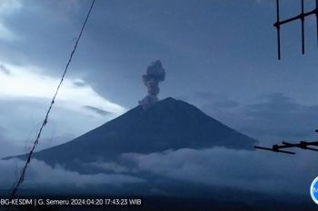 Gunung Semeru, Lumajang, Jatim, meletus