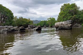 BKSDA Palopo imbau warga tak beraktivitas di sungai yang ada buaya