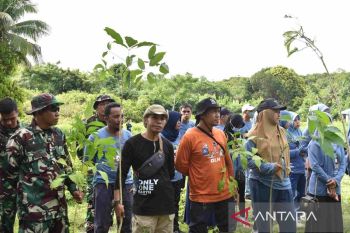 Pemkab Selayar mengajak masyarakat jagabumi dengan tanam pohon