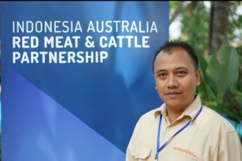 KUR BRI permudah KPT Maju Sejahtera untuk kembangkan usaha miliknya