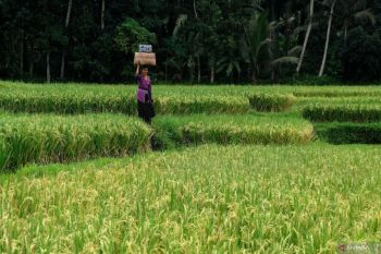 Kemenkominfo pastikan kesiapan jaringan 5G selama WWF 2024