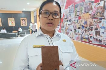 Pemprov Papua identifikasi potensi komoditas dorong ekspor