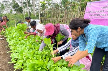 PLN UIP Nusra dorong partisipasi perempuan lewat program TJSL budidaya hortikultura