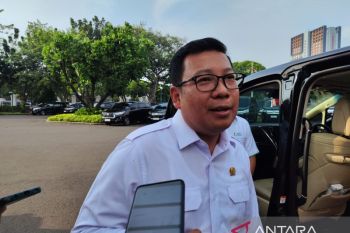 Pemerintah naikkan relaksasi HET beras medium jadi Rp12.500/kg