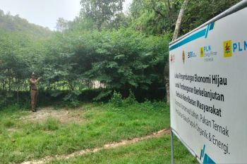 Warga Gunungkidul memanfaatkan ladang pakan ternak bantuan EPI