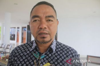 Pemkab Jayapura ajak masyarakat lindungi Cycloop dengan menanam pohon