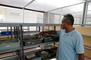 Pemkot Mataram menyiapkan lahan TPST Sekarbela