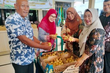 Pemkab Sidoarjo beri pelatihan budi daya peking