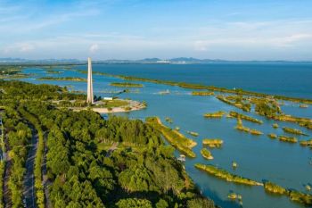 Proyek restorasi lahan basah di China timur terpilih jadi proyek percontohan PBB