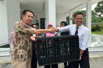 Masjid At Tabbayun dapat sumbangan dua sumur resapan dari Universitas Mercu Buana