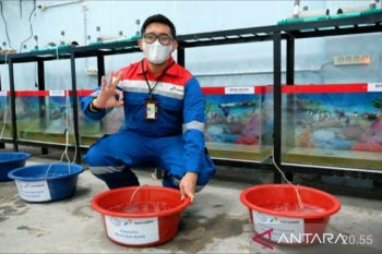 Kilang Pertamina Plaju raih Global CSR &amp; ESG Awards
