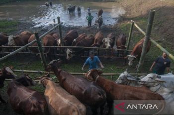 Kalteng tingkatkan kapasitas Juleha dukung kemajuan UMKM