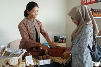 DJPb&nbsp;Jambi sebut penyaluran KUR capai Rp1 triliun
