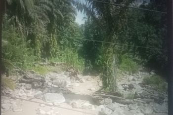 BPBD Pasaman Barat minta warga laporkan perubahan air Sungai Nango