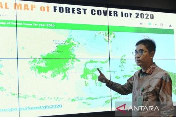 RI siap jalankan misi diplomasi koreksi peta hutan acuan EUDR