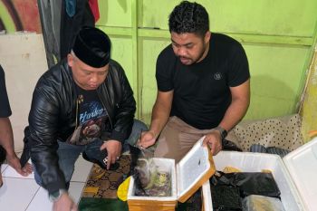 Polres Barru Sulsel ungkap penyelundupan 30 kilogram sabu