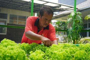 Kemensos manfaatkan kegiatan berkebun sarana terapi bagi ODGJ