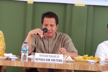 Kinerja sektor keuangan di Sulteng tumbuh positif Februari 2024