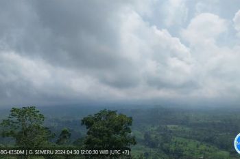 Gunung Semeru, Lumajang, Jatim, erupsi