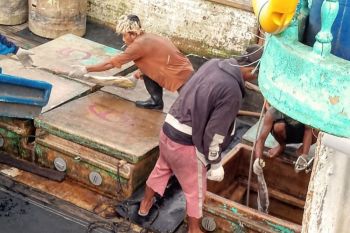 Empat investor kelola potensi perikanan dan kelautan Biak