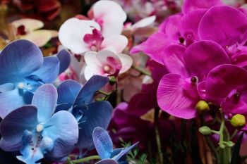 Momen Idul Fitri jadi peluang usaha industri kreatif di Pontianak