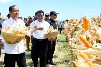 Hilirisasi pertanian langkah krusial tekan impor